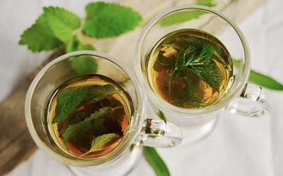 莲子健康茶怎么做 莲子健康茶的功效有哪些